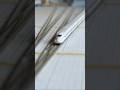 【Nゲージ 新幹線】 博多発東京行き （レール敷設） N-scale Shinkansen from Hakata to Tokyo (rail laying) #Nゲージ #Nゲージ新幹線 #N