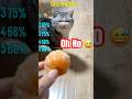 Try Not To Laugh Ultimate Cat Fails 2026 😹