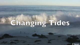 Video thumbnail of "Ventures Tribute: Changing Tides"