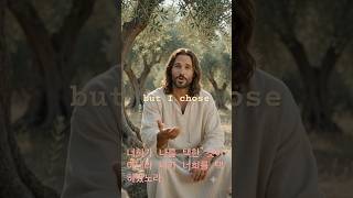 Why did Jesus choose you? #jesus #discipleship #evangelism #goodnews #bible #bibleverse #christian