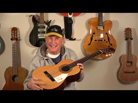 Umweltfreundliche Gitarre