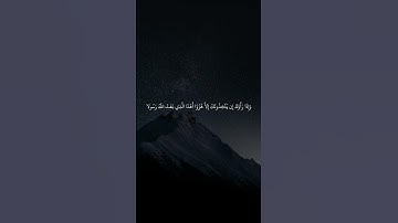 آية 41 سورة الفرقان طور عراقي حزين
