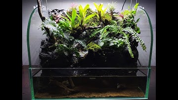 Hướng dẫn làm hồ bán cạn Đà Lạt mờ sương | Making Aquaterrarium ideas from DaLat in the mist