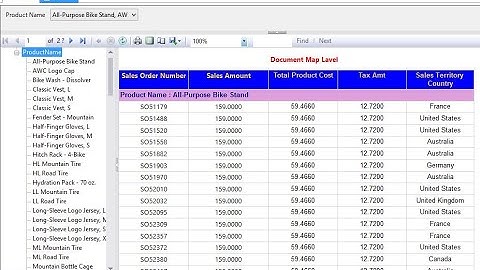 Document Map Label in SSRS | rohit techvlog