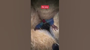 Dude went into another dimension 😂