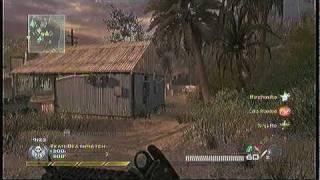 Mw2 Dazzle Platinum Test