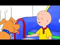 Caillou e o Cachorro | Caillou em Português