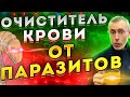 Очиститель Крови от Паразитов на Каждый День! 5 Специй Чистят Кровь. Ожирение, Худоба, Антистресс