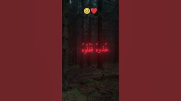 #قران #راحة نفسية #الشيخ ياسر الدوسري #تلاوة رائعة #انشر الاية❤❤