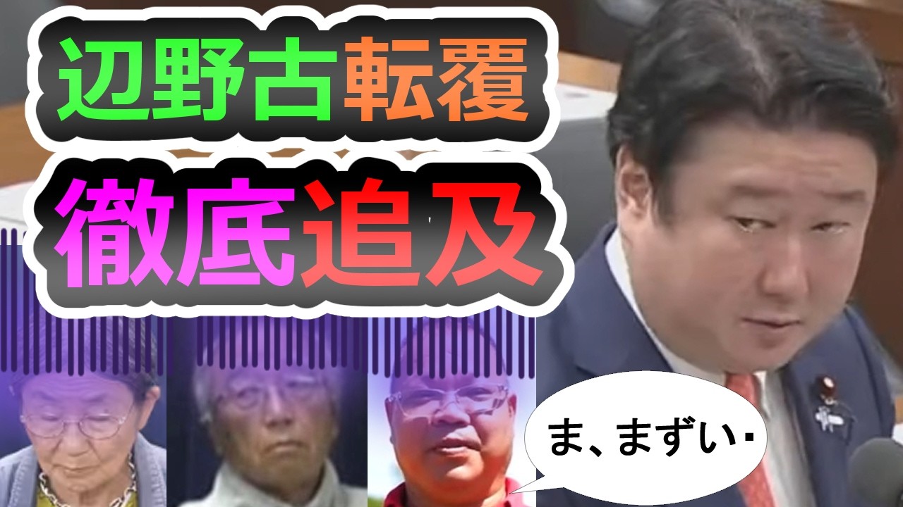 【平和学習とか言ってた連中、詰む】警察庁「辺野古には極左暴力集団がいる」、国会で明かされた逮捕者110人の大半が県外・外国人！各省庁が「異常な平和学習」を徹底追及【参政党】【和田政宗】