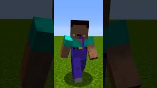 Minecraftta Cennet Vs Cehennem