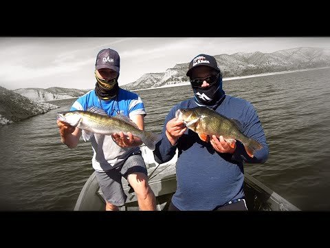 Ebro: Stausee Mequinenza - Fishing trip part 1 #iCatchFish #Ebro #Mequinenza