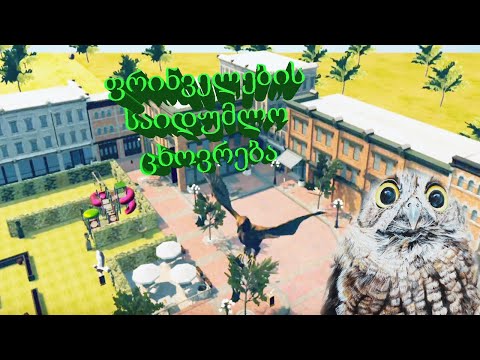 Bird Simulator (Gameplay by ShotaVlogger)