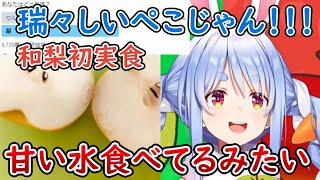 初めて食べるの和梨に衝撃を受けるぺこら【兎田ぺこら/ホロライブ/切り抜き】