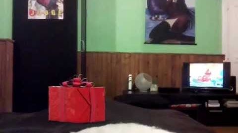 Test FX Guru mon petit robot