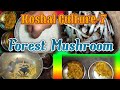 Forest mushroombihiden chhattikoshal culture ep7