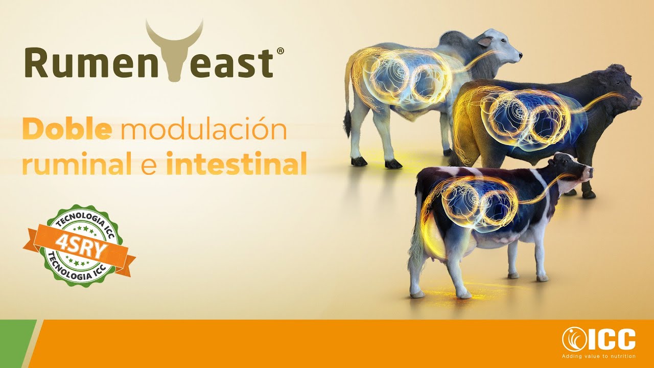 RumenYeast® - Doble modulación ruminal e intestinal