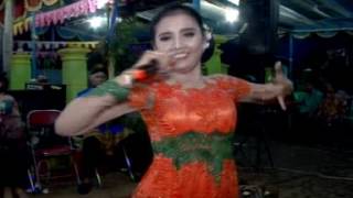 NGELALI   TOKEK SEKAR MAYANG