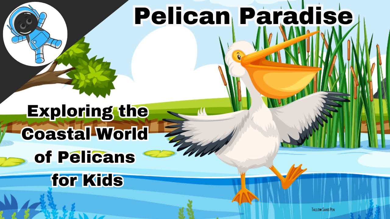 Pelican Paradise: Exploring the Coastal World of Pelicans for Kids