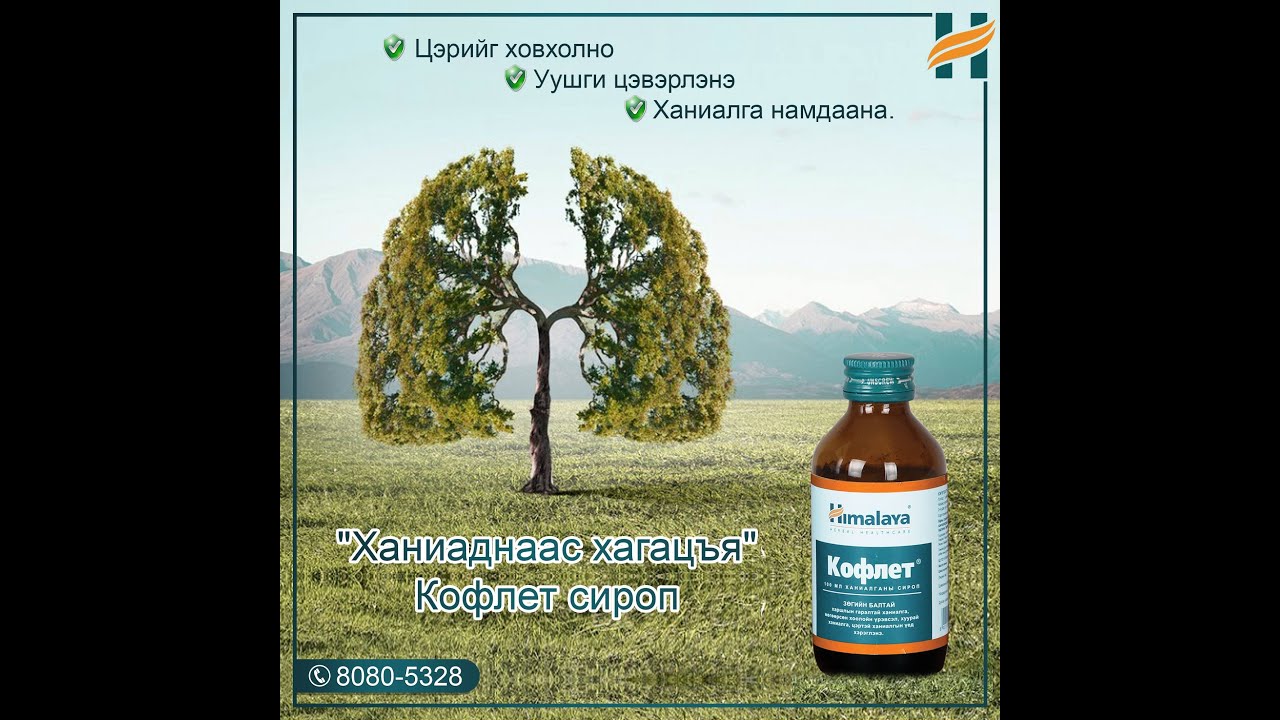 ЦЭРТЭЙ ХАНИАЛГА ГЭЖ ЮУ? АВАХ АРГА ХЭМЖЭЭ