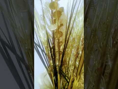 تردد قناة افلام اجنبية على قناتي تابعو الفيديوهات الاخيرة وترقبوا الجدبد