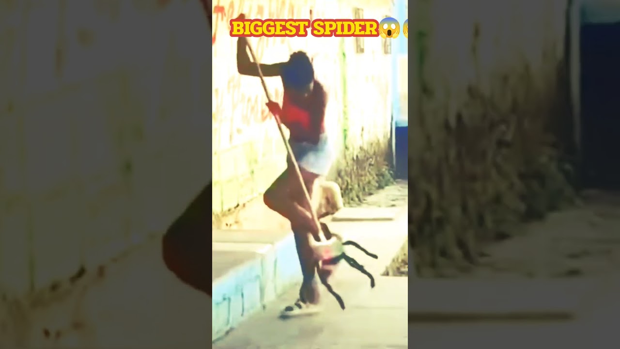 Have You Ever Seen This Before 