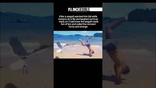 Bro fails a flip and a seagull actually laughs at him in the strangest moment ever #funny