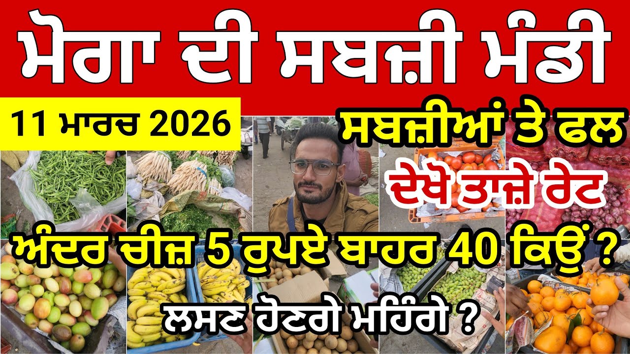 ਮੋਗਾ ਸਬਜ਼ੀ ਮੰਡੀ ਅੱਜ ਦੇ ਤਾਜ਼ੇ ਰੇਟ । ਅੰਦਰ 5 ਰੁਪਏ ਬਾਹਰ 40 ਕਿਉਂ ? ਲਸਣ ਹੋਣਗੇ ਮਹਿੰਗੇ ? ਆਲੂ ਤੇ ਪਿਆਜ਼ 