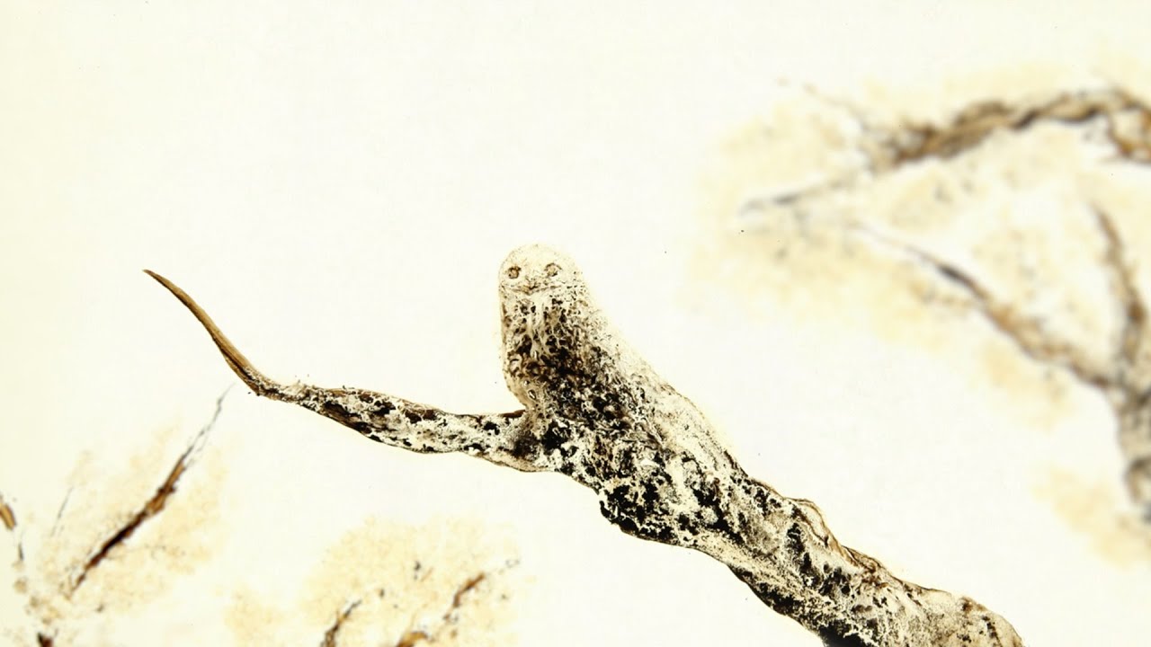 よだか (王 俊捷) / The Nighthawk Is Not a Hawk (WANG Junjie)