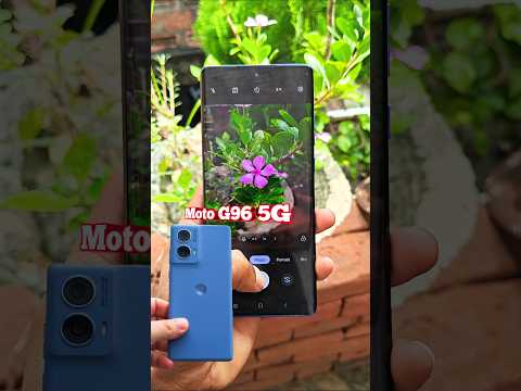 Motorola G96 5G Camera Test Natural Colors Clarity 