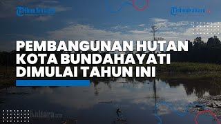 Download Lagu Pemkab Bulungan Sebut Proses Hutan Kota Bunda Hayati Menjadi Kebun Raya Dimulai Tahun Ini MP3