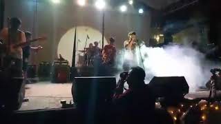 Daun puspa cover reggae