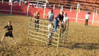 vacada tomina 2009  2
