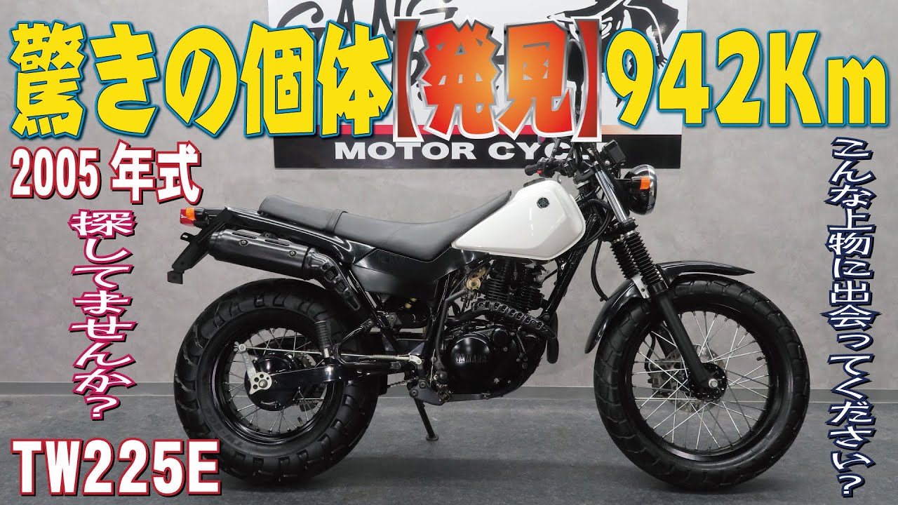 TW225早い者勝ち❗【購入者決定】 一時代を築いたTWシリーズの最後を飾る「TW225E 20th Anniversary