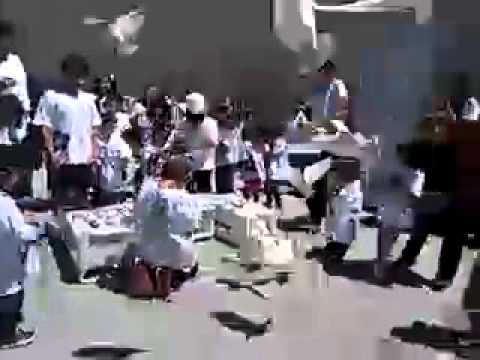 Release of 100 White Doves For An Armenian Event In Glendale, Ca.