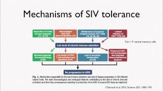 4.5 Defenses: Tolerance