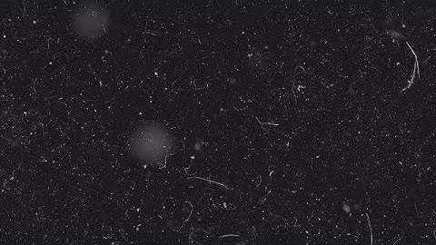 White Dust Particles In Space Stock Motion Graphics