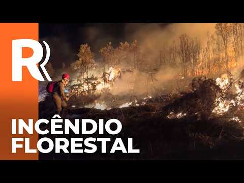 Inverno aumenta risco de incêndios florestais no Paraná