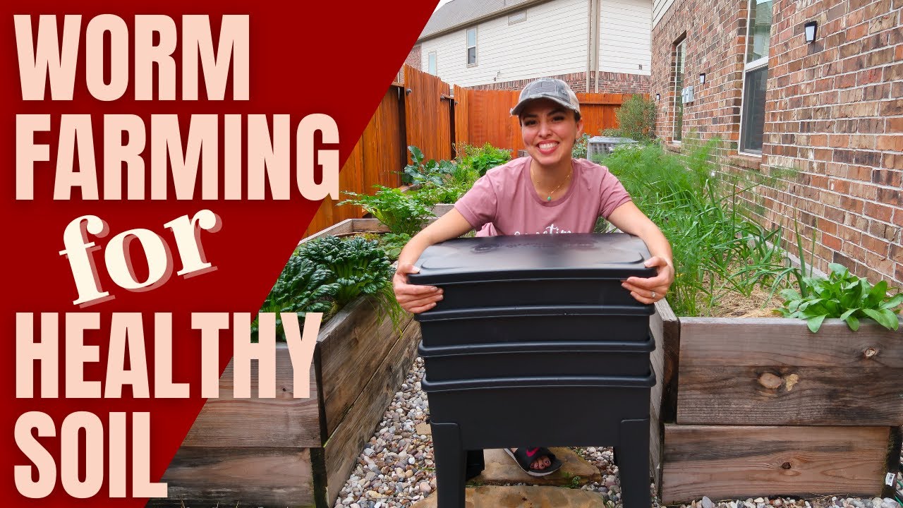 How I'm achieving HEALTHY vegetable GARDEN SOIL / Worm Farming YouTube