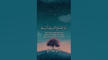 #القارئ #ريان_المحيسني #القرآن_الكريم #لايك #تلاوة_خاشعة #اكسبلور #الرحمن #shortvideo #راحة_نفسية