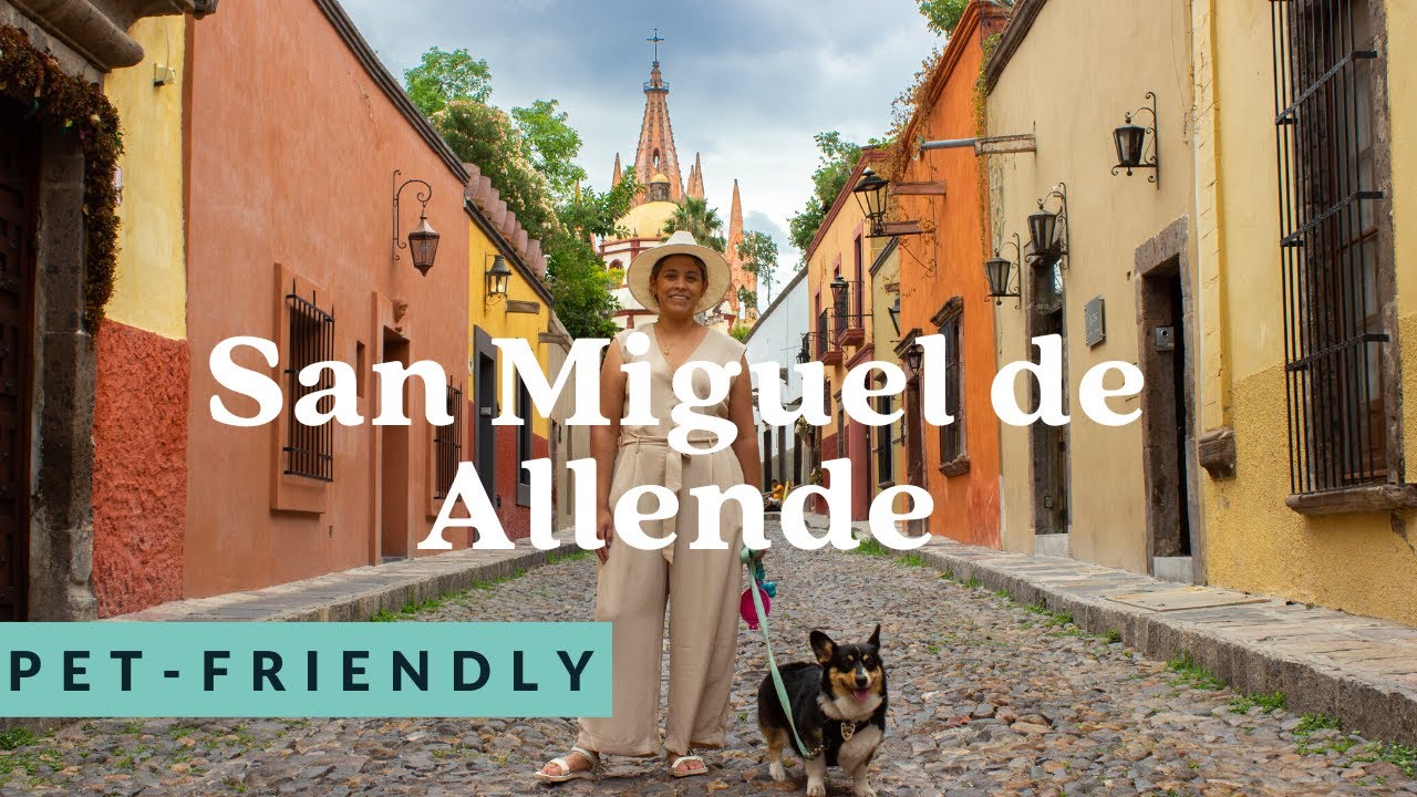 Fin de semana en San Miguel de Allende pet friendly 🐶 YouTube