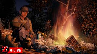 Chernarus Solo-aninganing! 4k Livestream!
