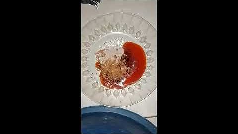 Procedure Text Assignment"How to Make instant noodles"