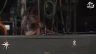 Birdy - People Help The People (Live At Sziget Festival Budapest 08-15-2017) Resimi