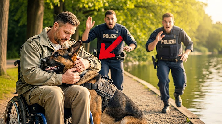 Der polizist befahl dem k9-hund, einen behinderten veteranen anzugreifen: aber die reaktion des d...