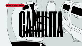 Saldana - camilita ft. Owsy (Visualizer) | SAKURA