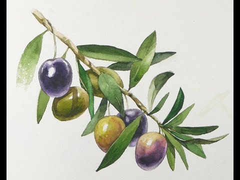 <strong>Olive</strong> - Fruit Landscape Watercolor (wet-in-wet. Fabriano) <strong>NAMIL</strong> ART #shorts