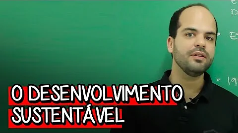 Qual foi o conceito introduzido pelo Relatório Brundtland?