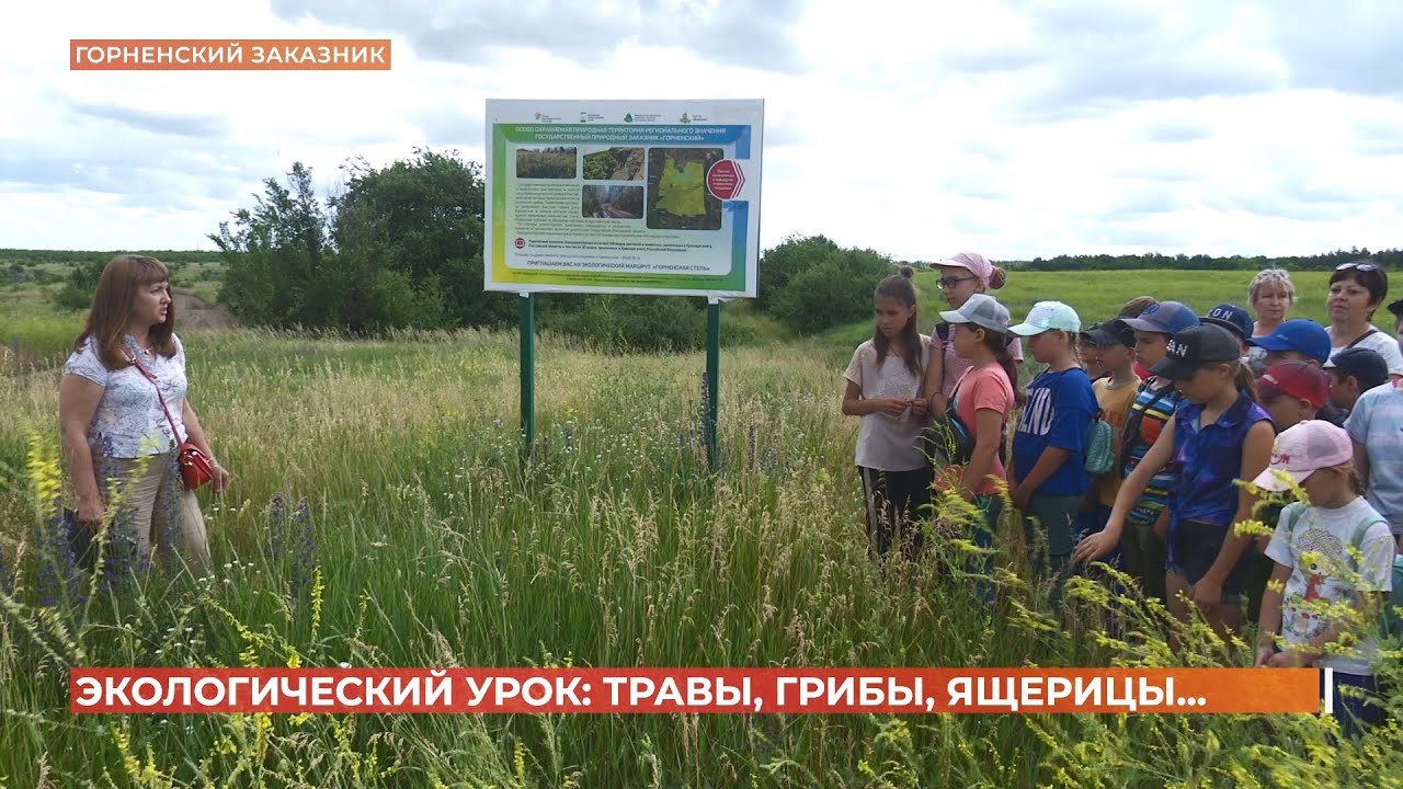 Экологический урок 1. Экологический урок. Горненский заказник. Дядя Ваня урок экологии.