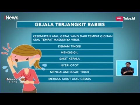 Video: Rabies Pada Manusia - Tanda, Vaksinasi, Pengobatan